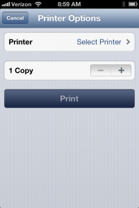 Select Printer Screen Shot